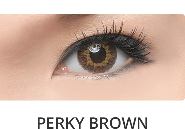 Freshkon Fusion Perky Brown color Contact lens