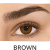 Freshlook Brown Contact lens