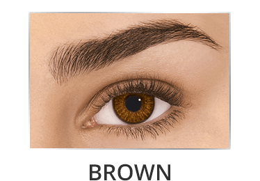 Freshlook Brown Contact lens
