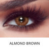 Bella One Day Almond Brown