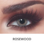 Bella One Day Rosewood - Five Pairs